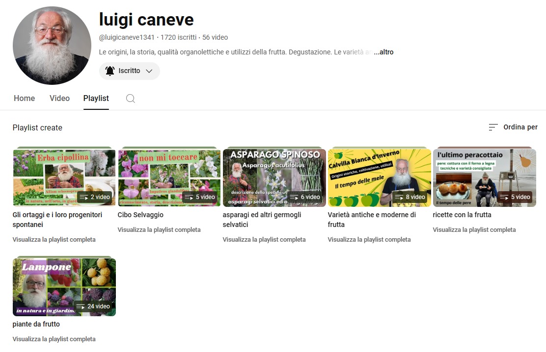 Allegato luigi-caneve-youtube.jpg