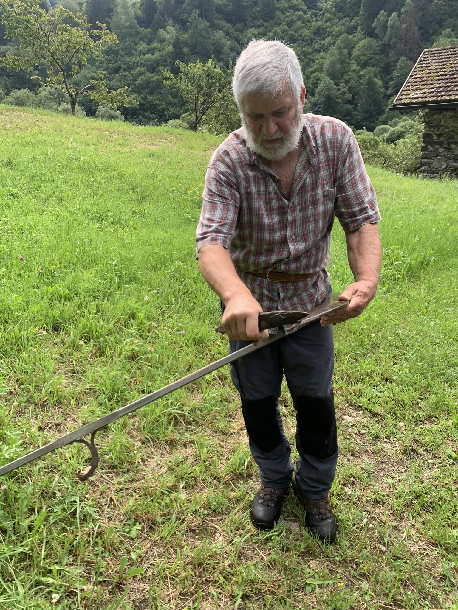 affilatura della lama della falce